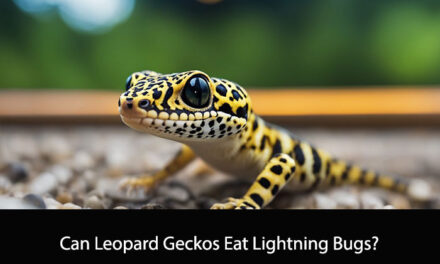 Can Leopard Geckos Eat Lightning Bugs?