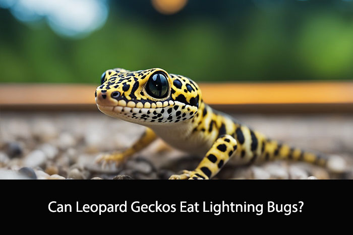 Can Leopard Geckos Eat Lightning Bugs?