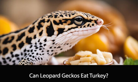 Can Leopard Geckos Eat Turkey?