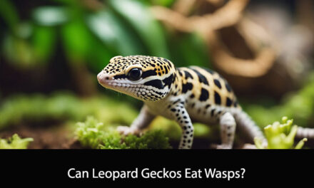 Can Leopard Geckos Eat Wasps?