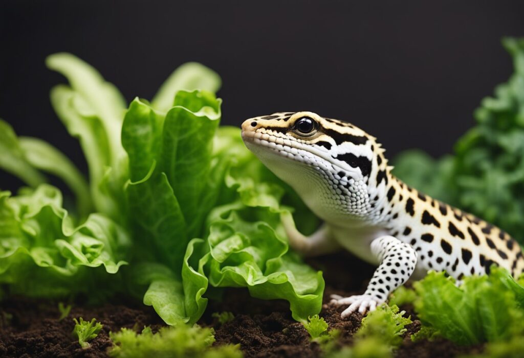 Can Leopard Geckos Eat Romaine Lettuce