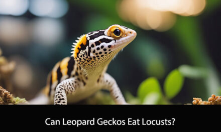 Can Leopard Geckos Eat Locusts?