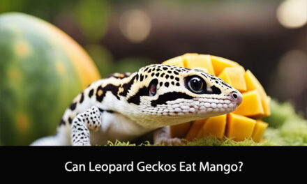 Can Leopard Geckos Eat Mango?