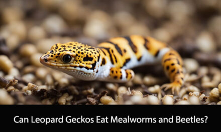 Can Leopard Geckos Eat Mealworms and Beetles?