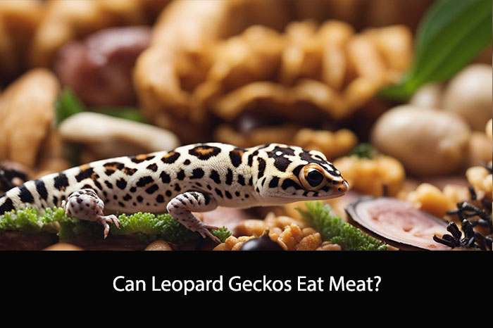 Can Leopard Geckos Eat Meat?