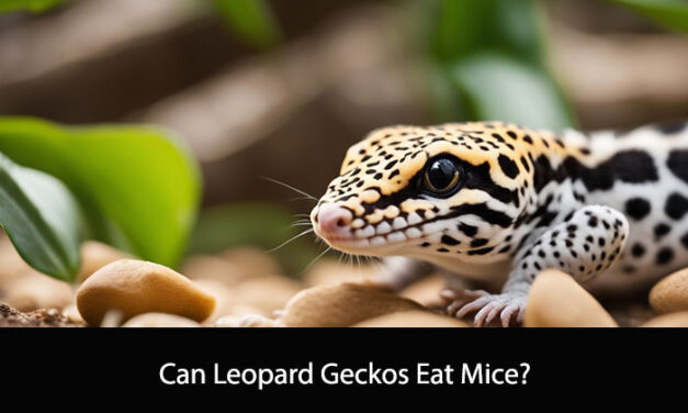 Can Leopard Geckos Eat Mice?