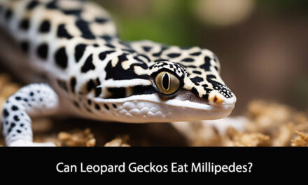 Can Leopard Geckos Eat Millipedes?