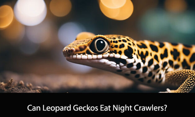 Can Leopard Geckos Eat Night Crawlers?