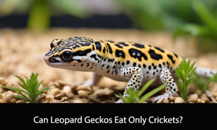 Can Leopard Geckos Eat Only Crickets?