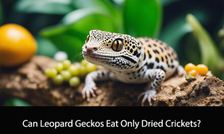 Can Leopard Geckos Eat Only Dried Crickets?