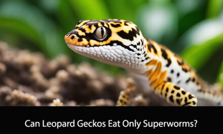 Can Leopard Geckos Eat Only Superworms?