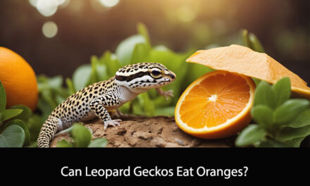 Can Leopard Geckos Eat Oranges?