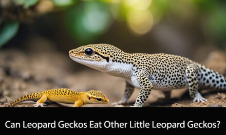 Can Leopard Geckos Eat Other Little Leopard Geckos?