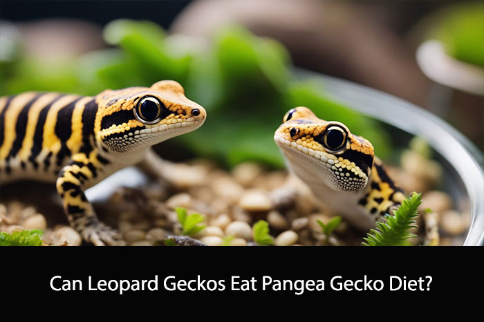 Can Leopard Geckos Eat Pangea Gecko Diet?