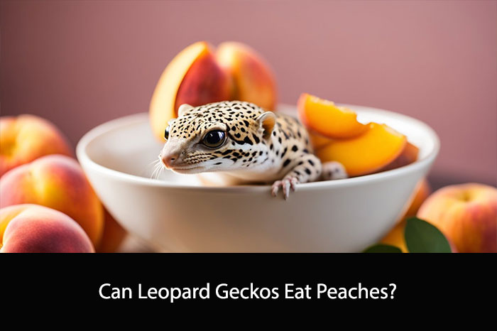 Can Leopard Geckos Eat Peaches?