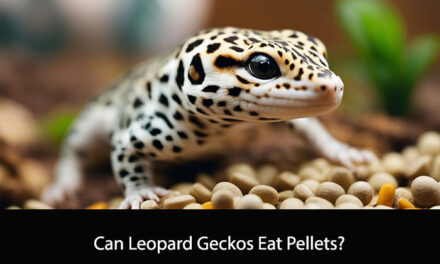 Can Leopard Geckos Eat Pellets?