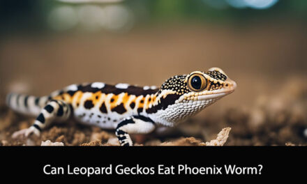 Can Leopard Geckos Eat Phoenix Worm?