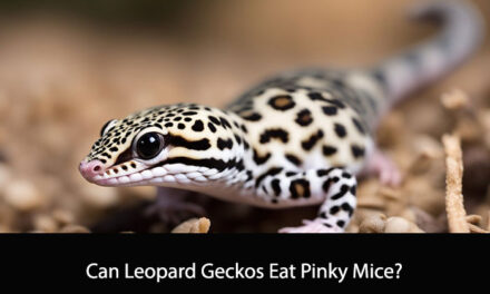 Can Leopard Geckos Eat Pinky Mice?