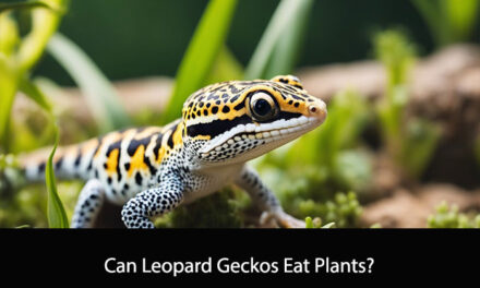 Can Leopard Geckos Eat Plants?