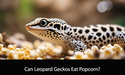 Can Leopard Geckos Eat Popcorn?