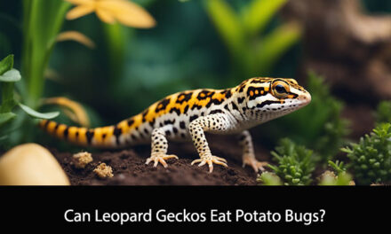 Can Leopard Geckos Eat Potato Bugs?