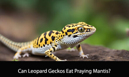 Can Leopard Geckos Eat Praying Mantis?