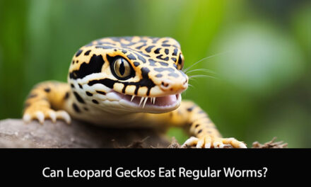 Can Leopard Geckos Eat Regular Worms?