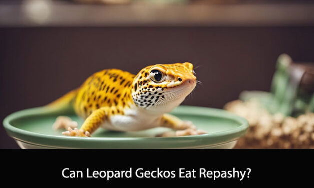 Can Leopard Geckos Eat Repashy?