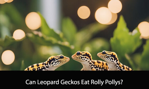 Can Leopard Geckos Eat Rolly Pollys?