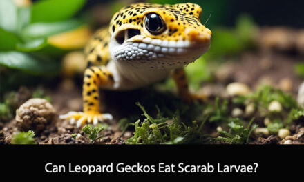 Can Leopard Geckos Eat Scarab Larvae?