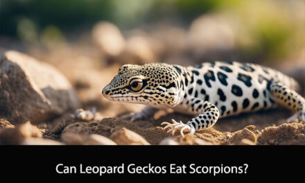 Can Leopard Geckos Eat Scorpions?