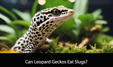 Can Leopard Geckos Eat Slugs?