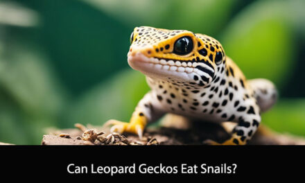 Can Leopard Geckos Eat Snails?