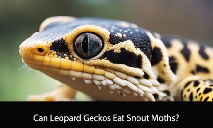 Can Leopard Geckos Eat Snout Moths?