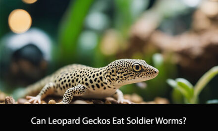 Can Leopard Geckos Eat Soldier Worms?