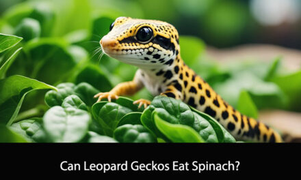 Can Leopard Geckos Eat Spinach?