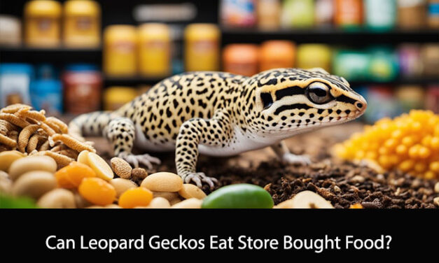 Can Leopard Geckos Eat Store Bought Food?