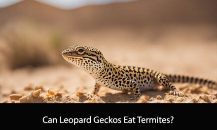 Can Leopard Geckos Eat Termites?