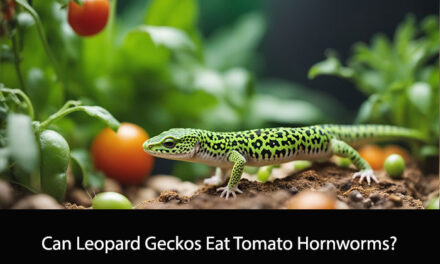 Can Leopard Geckos Eat Tomato Hornworms?