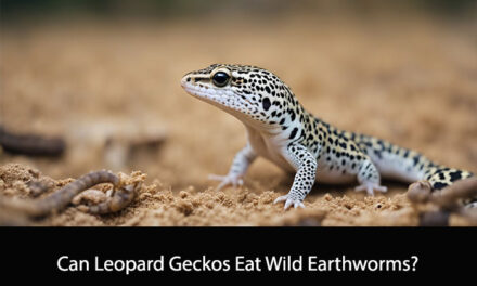 Can Leopard Geckos Eat Wild Earthworms?