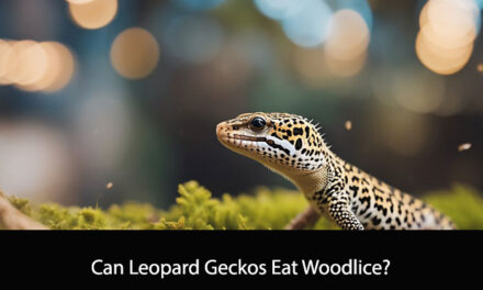 Can Leopard Geckos Eat Woodlice?