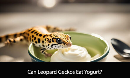 Can Leopard Geckos Eat Yogurt?